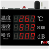 NHR-WS55大屏噪音温湿度记录仪