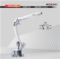 藦卡大負(fù)載機(jī)器人