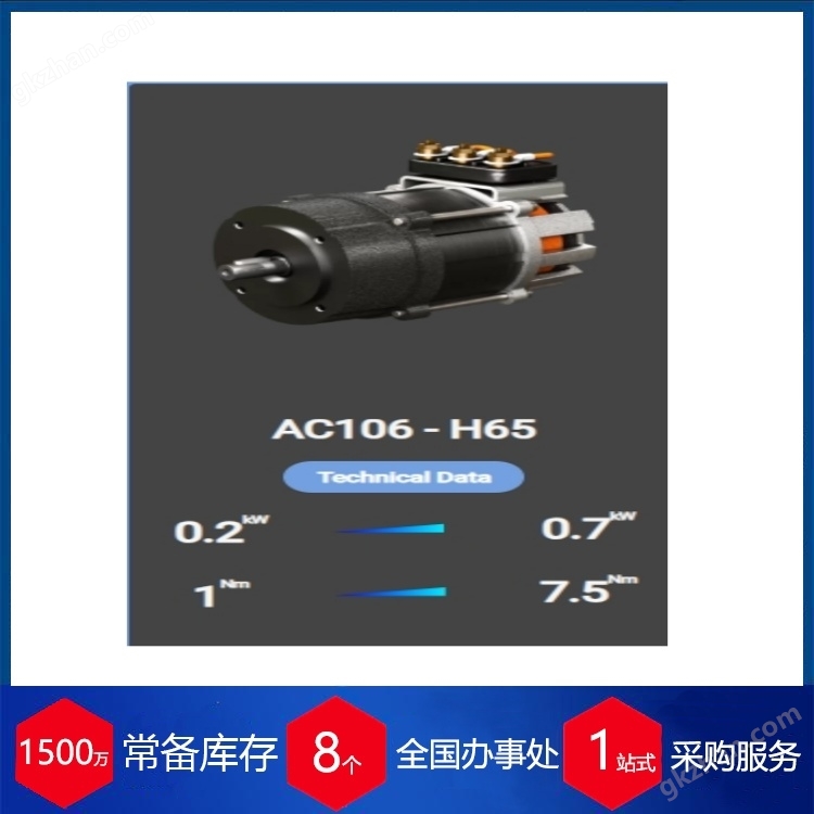 意大利AMRE三相异步电动机TAC106H65-001