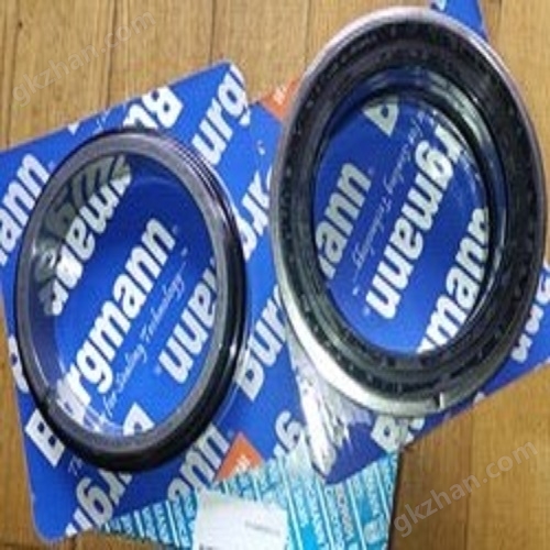 burgmann德国机械密封