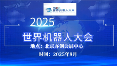 2025˴߲