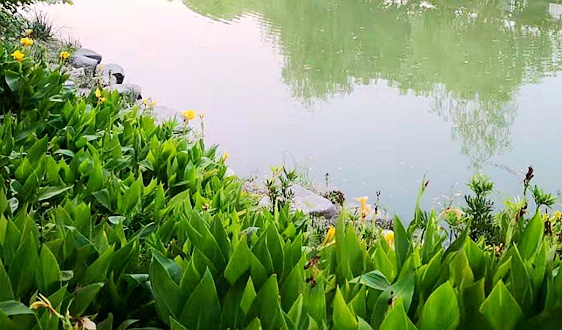 满坤科技拟募资7.6亿，推进智能化与数字化升级改造