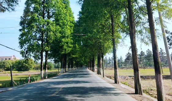 法雷奥斩获两家中国头部车企新订单