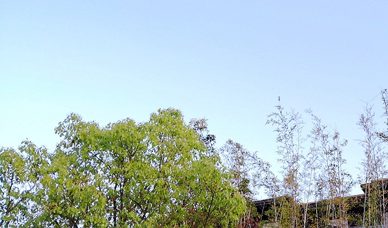 战略有效！利元亨三季度现金流暴增121.17%