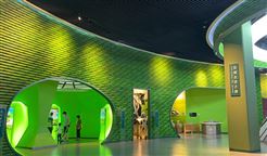 绿色包装平台构建行业新生态，从政策落地到全民参与