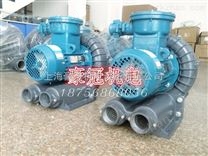 防爆高壓氣泵|抽氣防爆氣泵