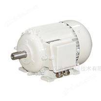瑞士EMWB電機(jī)R 106/80-2