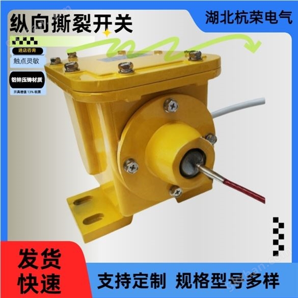 SCPT-180-30T皮帶縱向撕裂檢測(cè)器