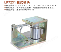 20T甘肅稱重柱式模塊