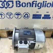 意大利邦飞利BONFIGLIOLI减速机