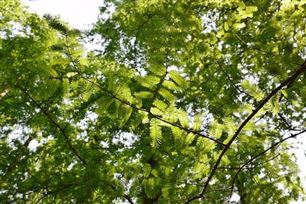 通知！北京市将开展2025年度国家级绿色制造单位征集推荐工作