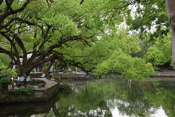 966億實施重點(diǎn)工程77個！《長沙市“十五五”生態(tài)環(huán)境保護(hù)規(guī)劃（征求意見稿）》發(fā)布