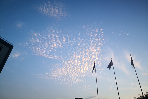 生成式人工智能用户规模达5.15亿 应用场景广泛