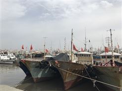 从《智能航运2030行动计划》看智慧航运的“城市脉动”